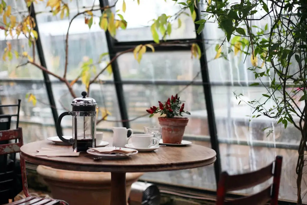 How to Make the Perfect French Press Coffee?