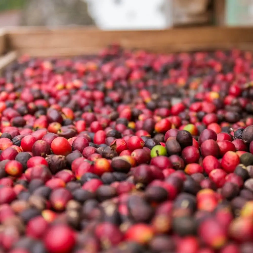 What is an Energetic Coffee Cherry