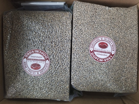 Honduras - Marcala, Camalote - Honey Process